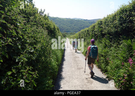 Tre donne camminando verso il basso stretto vicolo del paese di Lee baia a sud ovest percorso costiero, Devon, Inghilterra, Regno Unito. Foto Stock