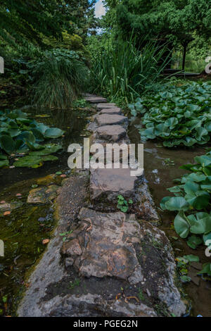 Pietre miliari nel corso di un piccolo ruscello con ninfee ad entrambi i lati Foto Stock