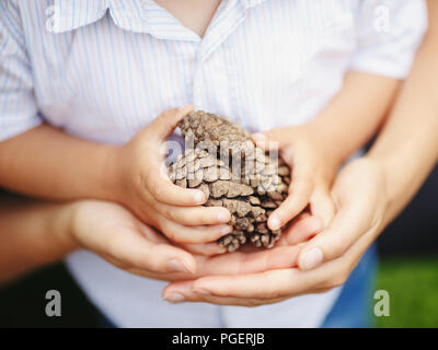 Primo piano di ripresa macro immagine del bambino con la madre genitore in possesso di un mazzetto di pigne, tonica con filtri Instagram, rétro in stile vintage, film effetto, se Foto Stock