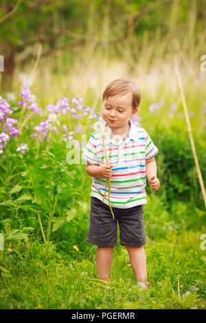 Ritratto di un simpatico adorabile little boy bambino in piedi nel settore forestale prato con fiori di tarassaco nelle sue mani e li soffia su un luminoso su Foto Stock