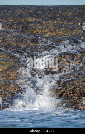 Australia, Australia occidentale, Kimberley, Montgomery Reef. Spesso descritto come l'ottava meraviglia del mondo naturale. Gli isolotti di arenaria esposti a bassa marea Foto Stock