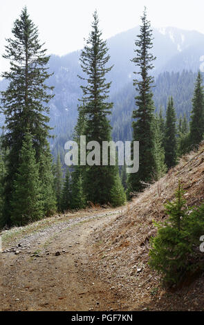 Parco naturale in Colorado Montagne Foto Stock