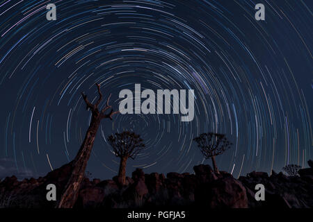 Sentieri Stsr cerchio nel corso del fremito di alberi in Namibia Foto Stock