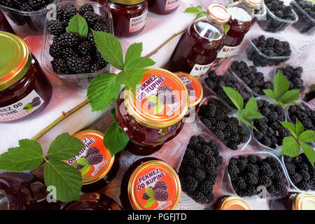 La marmellata e il succo di mora (Rubus Fusticosus) formano il fiume Gacka, Croazia Foto Stock