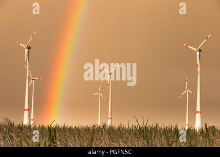 Germania - Prima porta tempesta arcobaleno. TRÜSTEDT, Germania - 25 agosto 2018: la prima pioggia di stagione produce un arcobaleno dietro le turbine eoliche a secco su un campo nella sentenza Altmark vicino Trüstedt, Germania. Credito: Mattis Kaminer/Alamy Live News Foto Stock