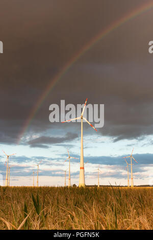 Germania - Prima porta tempesta arcobaleno. TRÜSTEDT, Germania - 25 agosto 2018: la prima pioggia di stagione produce un arcobaleno dietro le turbine eoliche a secco su un campo nella sentenza Altmark vicino Trüstedt, Germania. Credito: Mattis Kaminer/Alamy Live News Foto Stock