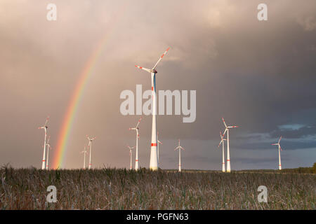 Germania - Prima porta tempesta arcobaleno. TRÜSTEDT, Germania - 25 agosto 2018: la prima pioggia di stagione produce un arcobaleno dietro le turbine eoliche a secco su un campo nella sentenza Altmark vicino Trüstedt, Germania. Credito: Mattis Kaminer/Alamy Live News Foto Stock