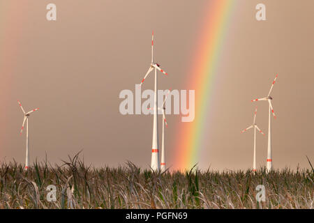 Germania - Prima porta tempesta arcobaleno. TRÜSTEDT, Germania - 25 agosto 2018: la prima pioggia di stagione produce un arcobaleno dietro le turbine eoliche a secco su un campo nella sentenza Altmark vicino Trüstedt, Germania. Credito: Mattis Kaminer/Alamy Live News Foto Stock