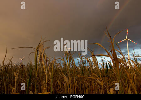 Germania - Prima porta tempesta arcobaleno. Credito: Mattis Kaminer/Alamy Live News Foto Stock