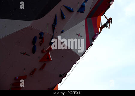 Palembang, Indonesia. 26 Ago, 2018. Akiyo Noguchi (JPN) Sport Arrampicata : donne finale combinata Lead presso Jakabaring Sport Center Sport Arrampicata durante il 2018 Jakarta Palembang giochi asiatici a Palembang, Indonesia . Credito: Giovanni Osada AFLO/sport/Alamy Live News Foto Stock