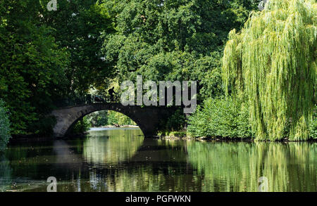 Hannover, Germania. 26 Ago, 2018. Un ciclista attraversa un ponte in il Georgengarten nella luce del sole. Credito: Peter Steffen/dpa/Alamy Live News Foto Stock