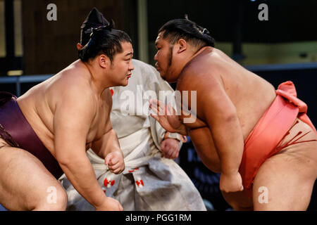 Tokyo, Giappone. 26 Ago, 2018. Lottatori di Sumo partecipare ad una speciale Grandi Campionati di Sumo ''Hakkiyoi KITTE'' tenuto presso il Tokyo KITTE complesso commerciale situato di fronte alla stazione di Tokyo il 26 agosto 2018, Tokyo, Giappone. Ogni anno lottatori di sumo prendere parte a un torneo speciale di fronte alla stazione di Tokyo per promuovere la cultura del sumo wrestling. (Foto di Rodrigo Reyes Marin/AFLO) Credito: Aflo Co. Ltd./Alamy Live News Foto Stock