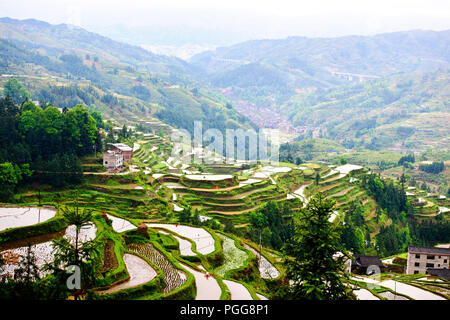 La gente del posto,gli agricoltori,terrazze di riso,Torre del Tamburo,architettura antica,Dong Village,codolo un,Tagan,Vicino Zhaoxing,nella provincia del Hunan,PRC,Repubblica Popolare Cinese,Cina Foto Stock