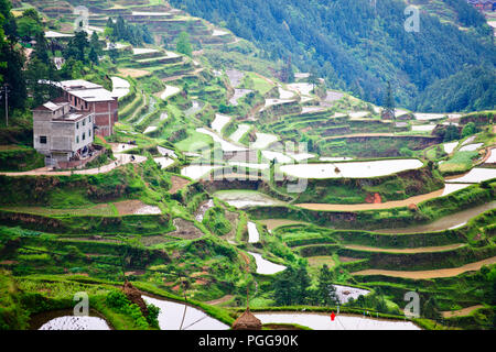 La gente del posto,gli agricoltori,terrazze di riso,Torre del Tamburo,architettura antica,Dong Village,codolo un,Tagan,Vicino Zhaoxing,nella provincia del Hunan,PRC,Repubblica Popolare Cinese,Cina Foto Stock