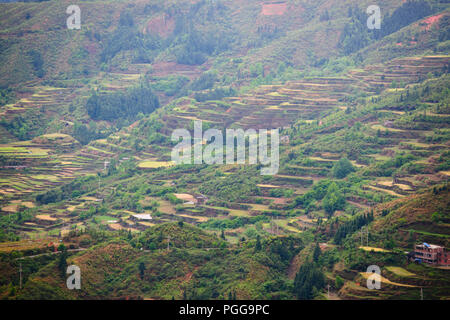 La gente del posto,gli agricoltori,terrazze di riso,Torre del Tamburo,architettura antica,Dong Village,codolo un,Tagan,Vicino Zhaoxing,nella provincia del Hunan,PRC,Repubblica Popolare Cinese,Cina Foto Stock