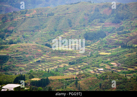 La gente del posto,gli agricoltori,terrazze di riso,Torre del Tamburo,architettura antica,Dong Village,codolo un,Tagan,Vicino Zhaoxing,nella provincia del Hunan,PRC,Repubblica Popolare Cinese,Cina Foto Stock