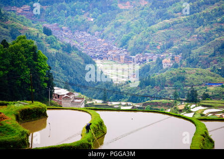 La gente del posto,gli agricoltori,terrazze di riso,Torre del Tamburo,architettura antica,Dong Village,codolo un,Tagan,Vicino Zhaoxing,nella provincia del Hunan,PRC,Repubblica Popolare Cinese,Cina Foto Stock