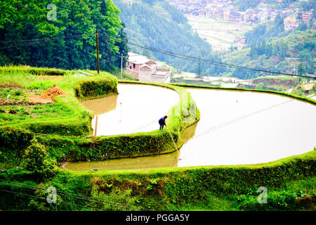 La gente del posto,gli agricoltori,terrazze di riso,Torre del Tamburo,architettura antica,Dong Village,codolo un,Tagan,Vicino Zhaoxing,nella provincia del Hunan,PRC,Repubblica Popolare Cinese,Cina Foto Stock