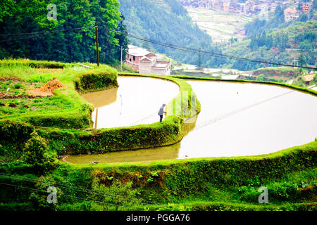 La gente del posto,gli agricoltori,terrazze di riso,Torre del Tamburo,architettura antica,Dong Village,codolo un,Tagan,Vicino Zhaoxing,nella provincia del Hunan,PRC,Repubblica Popolare Cinese,Cina Foto Stock