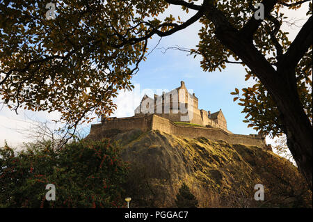 Il Castello di Edimburgo, in Scozia, si trova in alto su Castle Rock. Visto attraverso gli alberi sotto in una giornata limpida Foto Stock