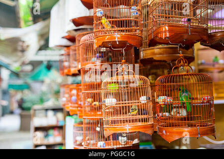 Uccelli in gabbie per la vendita al mercato degli uccelli, Kowloon Hong Kong, una popolare destinazione turistica. Foto Stock