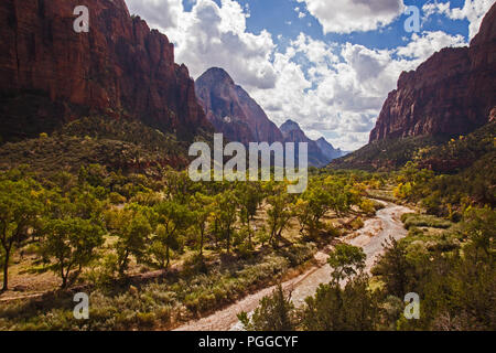 Vista sul parco nazionale di Zion da thesky Emerald Pools Trail. Foto Stock