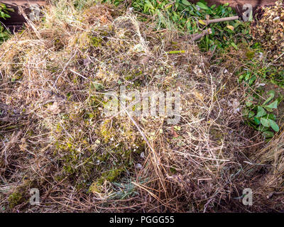 Scarti da giardino in Consiglio il deposito di riciclaggio skip - Francia. Foto Stock