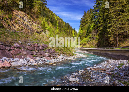 Pastorale nell'alpina della valle di montagna in Austria. Rapido flusso di montagna. Fiume di montagna e foresta verde. Foto Stock