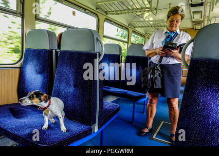 Ceske drahy, ferrovie ceche, Donna del conduttore e del treno passeggeri cane, Repubblica Ceca treno Foto Stock