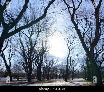 La neve è di fusione dopo la prima nevicata autunnale. Nessuno è in questo parco pubblico durante una fresca mattina di sole. Foto Stock