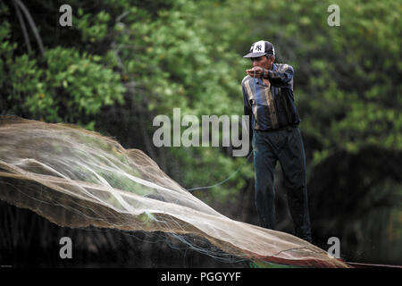 Il pescatore getta rete tra le mangrovie di Monterrico Hawaii a Monterrico, Guatemala, America Centrale Foto Stock