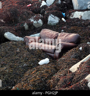 Divani in pelle marrone tra le alghe sulla spiaggia di Galway. Foto Stock