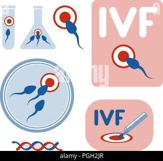 La fertilizzazione in vitro. Raccolta di immagini vettoriali. Eps 10. Illustrazione Vettoriale