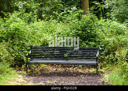 Una panchina nel giardino segreto di Balloch Park in Loch Lomond e il Trossachs national park Foto Stock