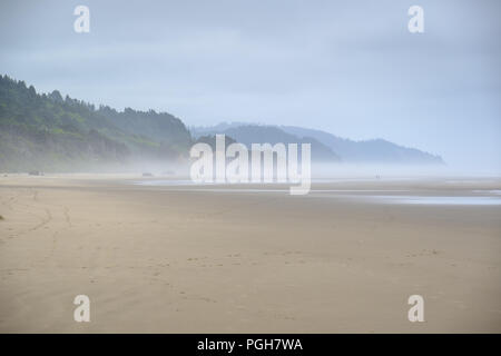 Mare di pile su di foschia mattutina Arcadia Beach State Park, Oregon, Stati Uniti d'America Foto Stock