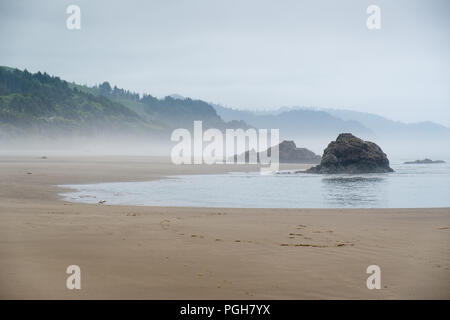 Mare di pile su di foschia mattutina Arcadia Beach State Park, Oregon, Stati Uniti d'America Foto Stock