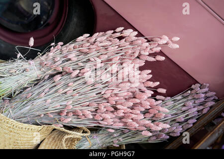 mazzo di spighe decorative di grano giallo in vaso di vetro verde  trasparente sulla parte superiore dello sgabello Foto stock - Alamy