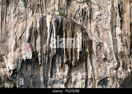 Verticale parete di roccia Foto Stock