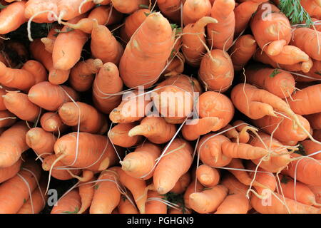 Azienda Agricola Le carote fresche sul display nel mercato del contadino a Daley Plaza nel centro di Chicago su una soleggiata giornata estiva. Foto Stock