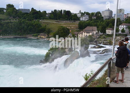 Cascate del Reno (Rheinfall) cascate, Neuhausen vicino a Sciaffusa, Canton Sciaffusa, Svizzera Foto Stock