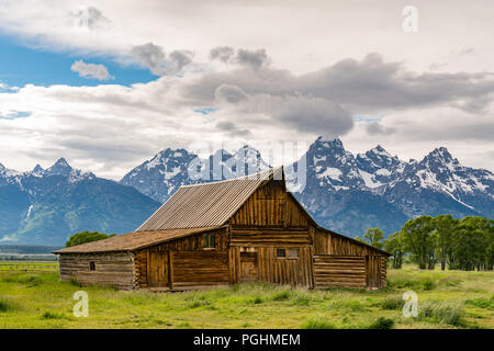 T.A. storico Moulton Barn lungo la fila di mormoni nel Parco Nazionale di Grand Teton, Wyoming Foto Stock