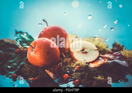 In autunno le mele sotto la pioggia ancora in vita. La raccolta autunnale testata con gocce di acqua e copia dello spazio. Rosso ranet piccole mele e caduta foglie. Croce effetto di processo Foto Stock