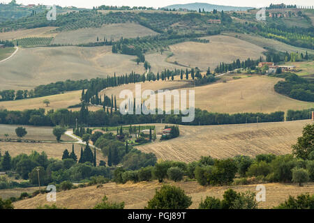 Una strada tortuosa foderato con alberi di cipro nelle colline toscane, Italia Foto Stock