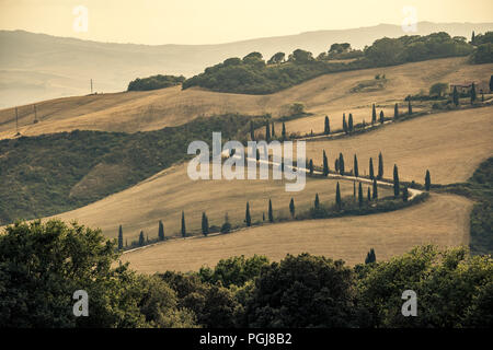 Una strada tortuosa foderato con alberi di cipro nelle colline toscane, Italia Foto Stock