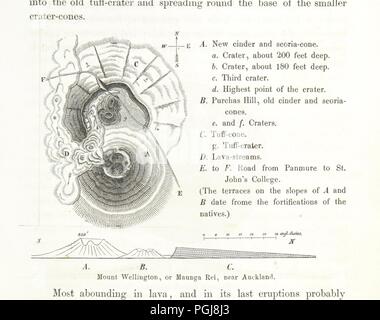 Immagine dalla pagina 279 della " Nuova Zelanda, la sua geografia fisica e di geologia e di storia naturale, con particolare riferimento ai risultati delle spedizioni di governo nelle province di Auckland e Nelson ... Tradotto dal tedesco0020. Foto Stock