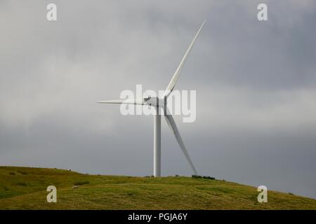 Turbina di vento Foto Stock