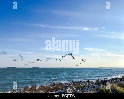 Galveston Island, Texas Foto Stock