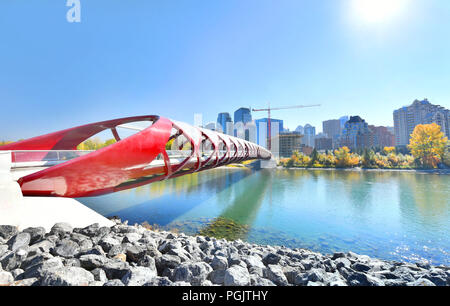 Pomeriggio foto di Calgary ponte di pace con il Fiume Bow e parte del centro cittadino di Calgary Foto Stock