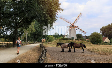 Antico mulino di Bokrijk, Belgio Foto Stock