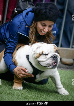 Vancouver, Canada. 26 Ago, 2018. Una donna che gioca con un bulldog durante il "Pet-A-Palooza' evento in Vancouver, Canada, e il agosto 26, 2018. Circa 20.000 gli amanti del cane ha partecipato l'annuale "Pet-A-Palooza' evento qui Domenica. L'evento ha permesso gli amanti degli animali per condividere la gioia e l'esperienza con i loro animali domestici attraverso diverse attività. Credito: Liang Sen/Xinhua/Alamy Live News Foto Stock